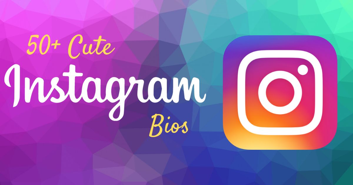 1200-trader-bios-for-instagram-latest-2024