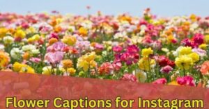 flower-captions-for-Instagram