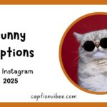 100+ Funny Captions For Instagram to Make Your Followers